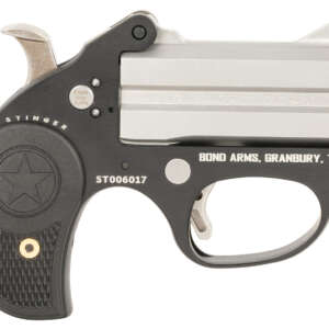 Bond Arms BAST Stinger  22 LR 2rd, 3" Double Matte Stainless Steel Barrel, Anodized Aluminum Frame, Black Nylon Grip, Rebounding Hammer, Crossbolt Safety