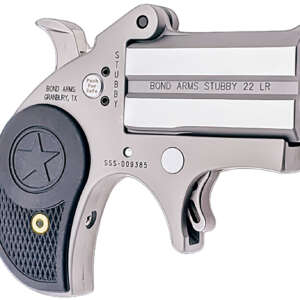 Bond Arms BASTB Stubby  22 LR 2rd Shot 2.20" Matte Stainless Steel Frame Black Textured Polymer Grips