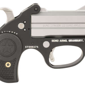 Bond Arms BASL Stinger  22 LR 2 3" Matte Double Anodized Stainless Steel Barrel, Anodized Aluminum Frame, Black Rubber Grip