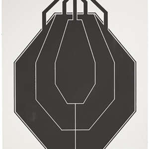 Sig Sauer SCT354 T300 Replacement Target IPSC Hanging Black/White