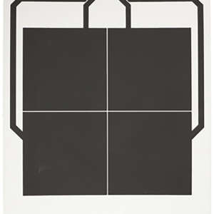 Sig Sauer SCT356 T300 Replacement Target 4 Square Hanging Black/White