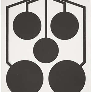 Sig Sauer SCT357 T300 Replacement Target Multi Zone Hanging Black/White