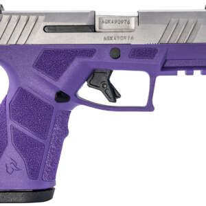 Taurus 1-GX2939DP-10 GX2  9mm Luger 10+1 3.37" Matte Stainless Steel Barrel, Matte Serrated Stainless Steel Slide, Dark Purple Polymer Frame w/Picatinny Rail, Polymer Grip