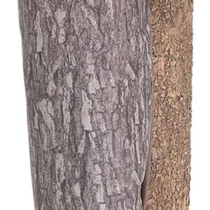 Moultrie MFG-15019  Bag Feeder 100lbs Capacity Camo
