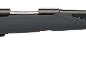 Savage Arms 57061 110 Hunter Full Size 223 Rem 4+1 22" Matte Black Button-Rifled Barrel, Matte Black Drilled & Tapped Carbon Steel Receiver, Adj AccuStock Matte Gray Synthetic Stock, Right Hand
