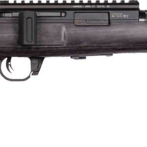 WAI HAM FRC B1 22LR GRY 10RD