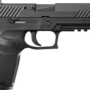 SIG P320F NIT PST 9MM 10R NS