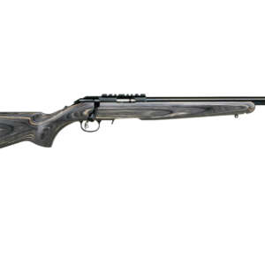 RUG AM RFL RF TGT 17HMR 9RD