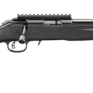 RUG AM RFL RF 17HMR RL 9R TB