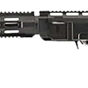 Archangel AA556RNB AR-15 Style Conversion Stock Black Synthetic 6 Position Collapsible for Ruger 10/22 (No Bayonet)
