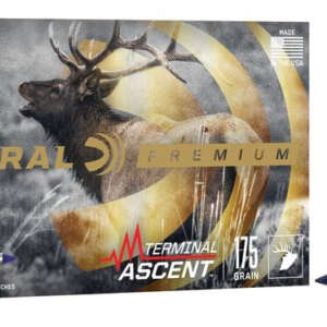 FED TERMINAL ASCENT 300WIN 175GR 20/10