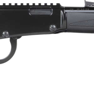 HEN X MODEL LVR 22WMR