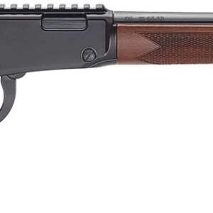 HENRY H1 BANDIT 22MAG 18.5