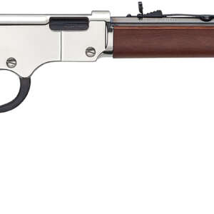 HENRY SILVER BOY 22LR 20
