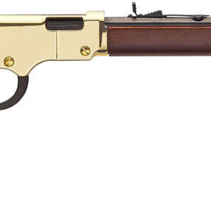 HENRY GOLDEN BOY 17HMR 20 LARGE LOOP