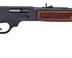 HENRY H10 PROVIDER 45-70 20