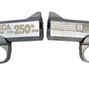 BOND ARMS 250TH REDNECK 45-70 SS 4.25"
