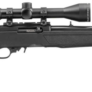 RUG 10/22 22LR 18.5 BLK 10RD SCOPED