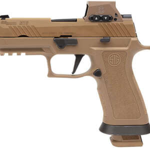 SIG M18 9MM XFRAME 3.9 COY ROMEOM17  3-21RD