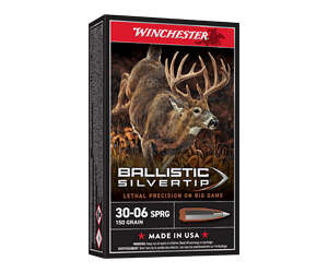 WIN BLSTC TIP 3006SP 150GR 20/200