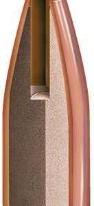 Hornady NTX Bullets .20 cal .204" 24 gr NTX 100/ct