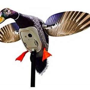 MOJO Elite Series Spinning Wing Motion Decoy - Mini Mallard Drake
