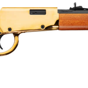 ROSSI RIO BRAVO 22LR GLD/WD 18"    #