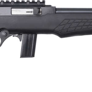 BRZ ROSSI RS22 22LR 18B TB PIC
