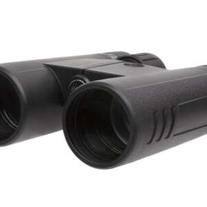 SIG SAUER BUCKMASTERS BINO 10X42 BLK